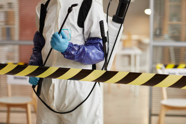 Professional Hoarding Cleanup technician working in Roseville, OH